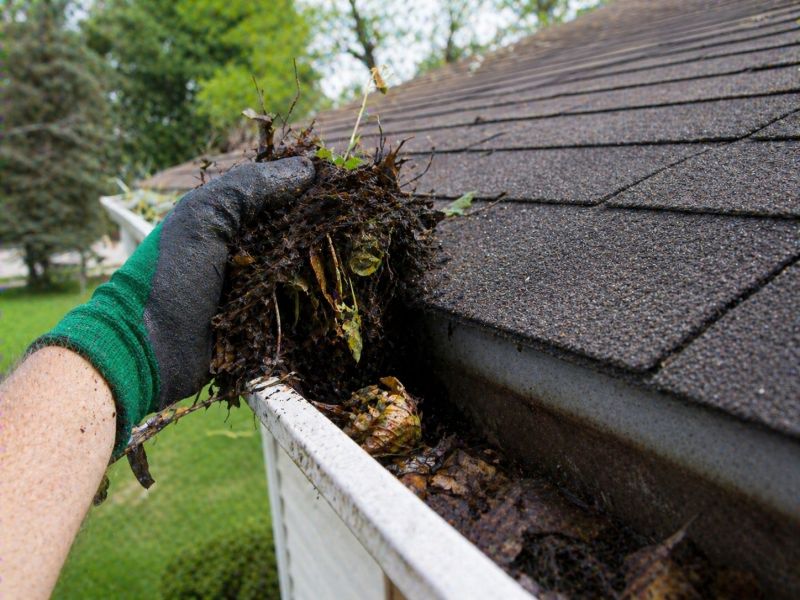 Gutter Blockage Removal in Arvada, CO