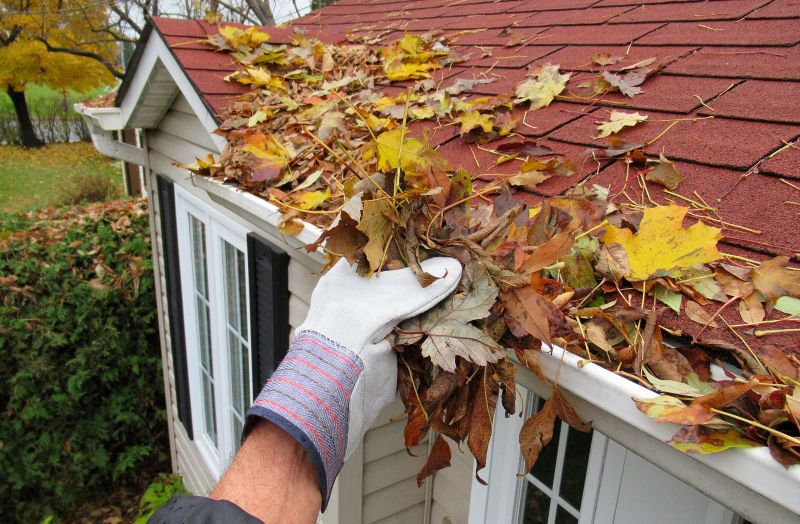 Gutter Leaf Clearing in Long Island, NY