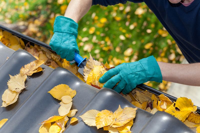 Commercial Gutter Maintenance in Sacramento, CA