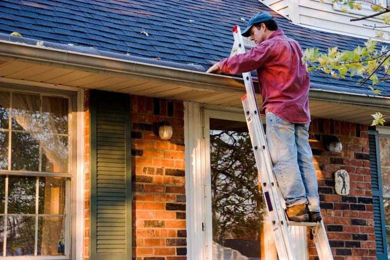 Gutter Cleaning in Morris County, NJ