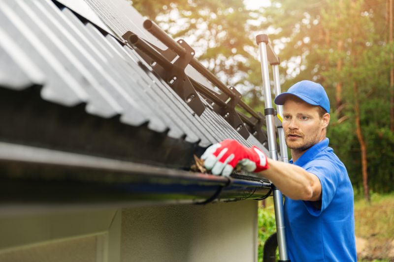 Gutter Cleaning in Annapolis, MD