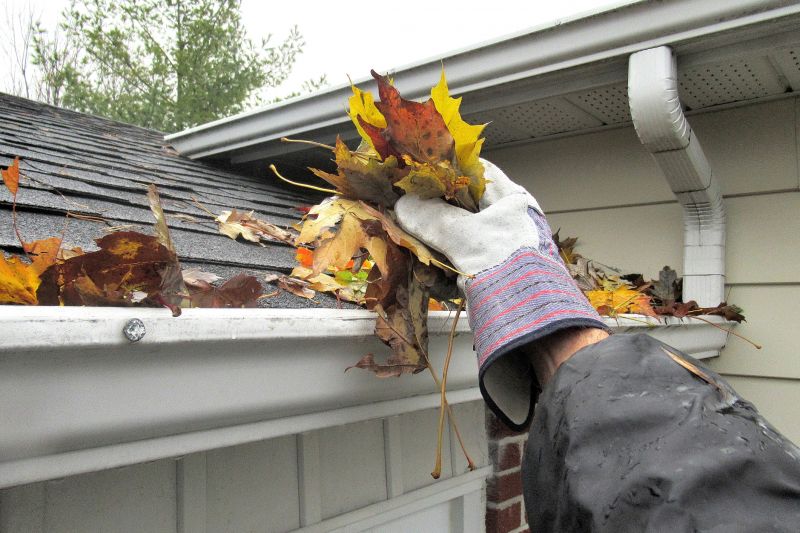 Gutter Cleaning in Longmont, CO