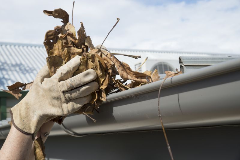 Gutter Leaf Clearing in Bergen County, NJ