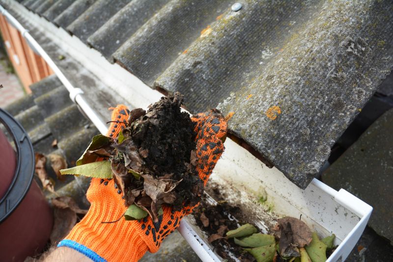 Gutter Leaf Clearing in Longmont, CO