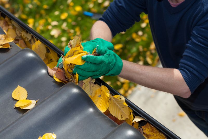 Gutter Leaf Clearing in Annapolis, MD