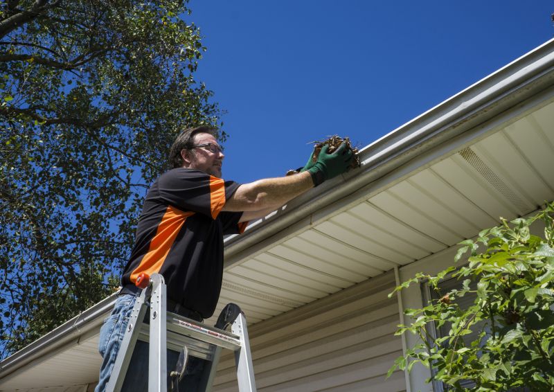Gutter Leaf Clearing in Rochester, NY