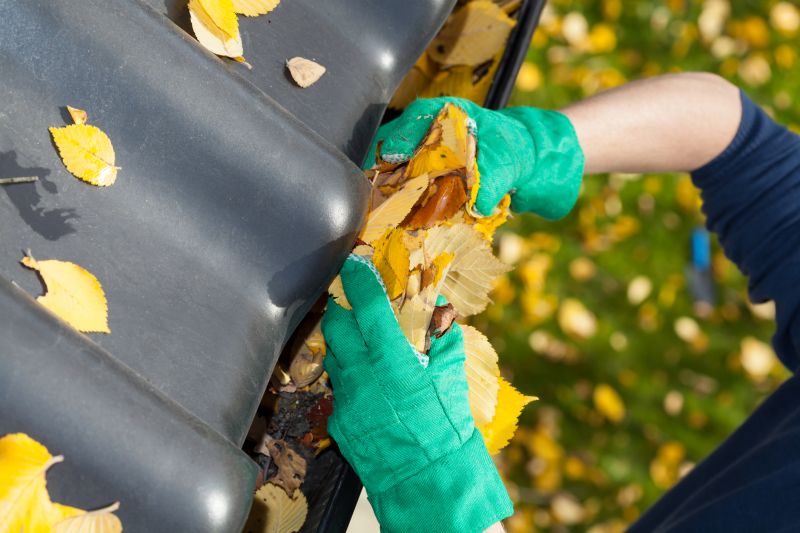 Gutter Leaves Removal in Pittsburgh, PA