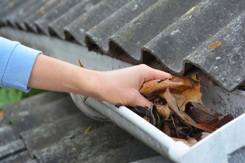 Gutter Leaves Removal in Monmouth County, NJ