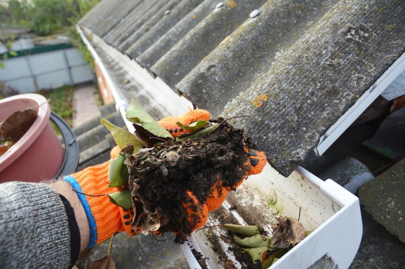 Gutter Pine Needle Removal in Frederick, MD