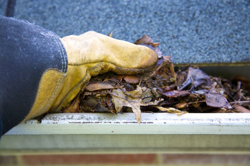 Gutter Pine Needle Removal in Richmond, VA