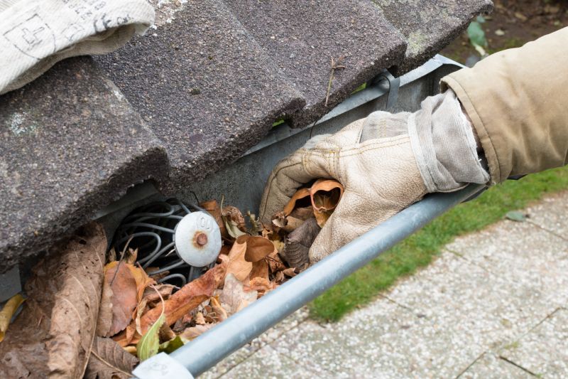 Rain Gutter Clearing in Frederick, MD