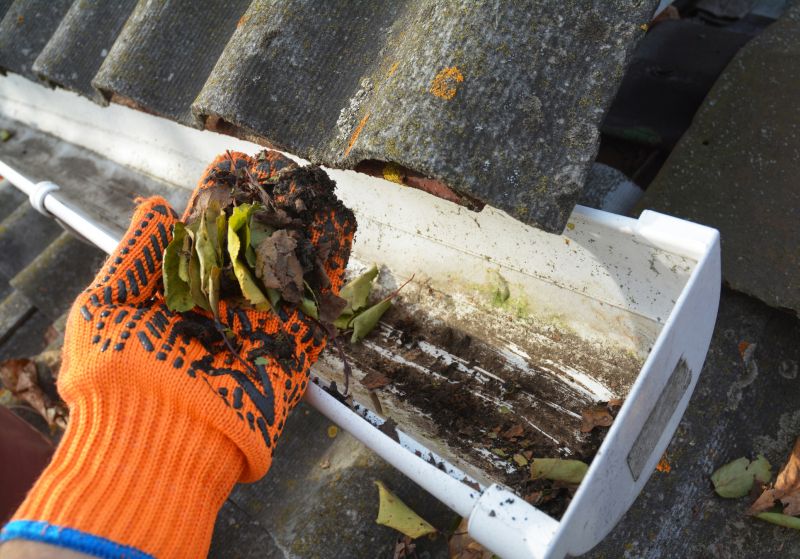 Rain Gutter Clearing in Arvada, CO