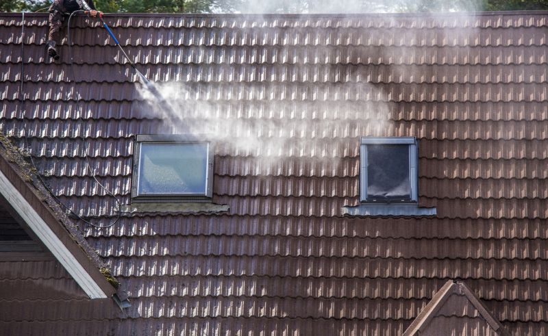 Roof Mildew Removal in Vancouver, WA