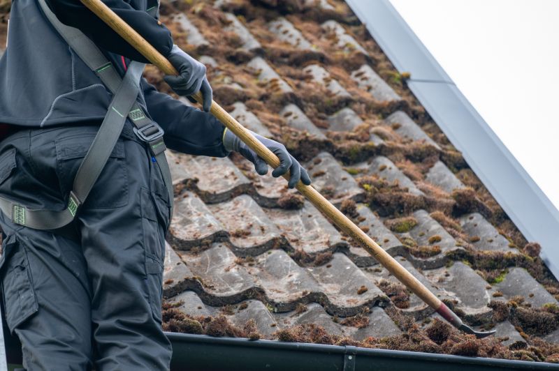 Roof Mold Cleaning in Vancouver, WA