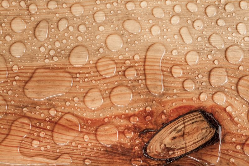 Wood Waterproofing in Alpharetta, GA